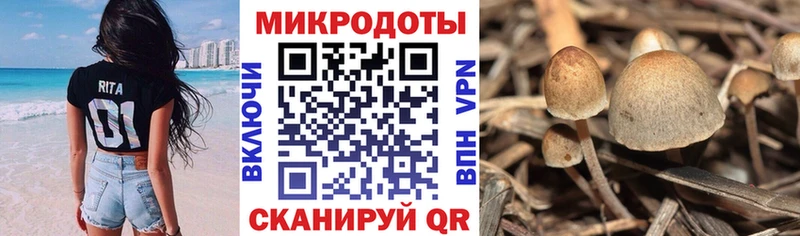 Галлюциногенные грибы Magic Shrooms цена наркотик Аргун