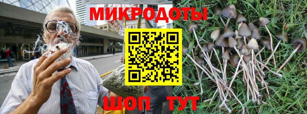 Псилоцибиновые грибы ЛСД  Аргун  Галлюциногенные грибы GOLDEN TEACHER 