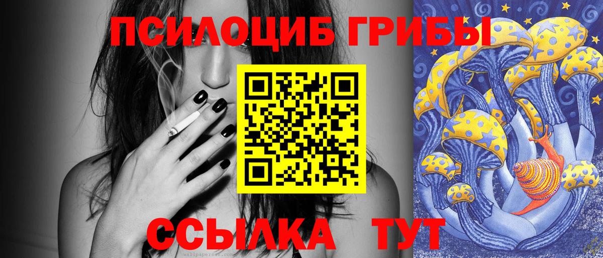 Псилоцибиновые грибы Cubensis Аргун