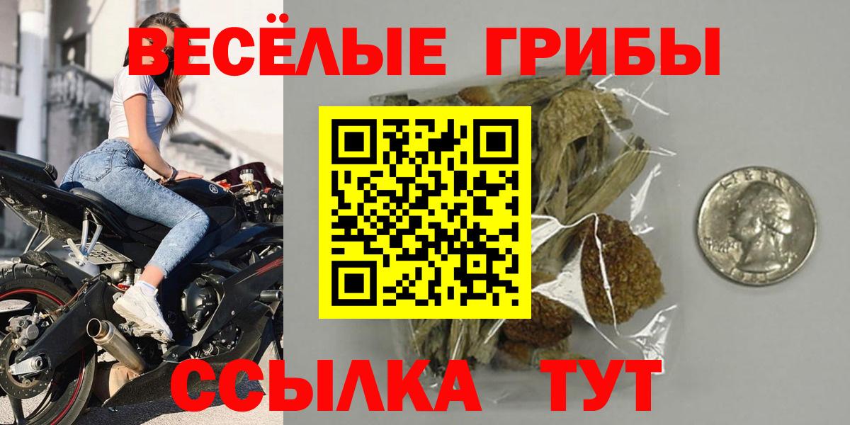 Аргун  Галлюциногенные грибы Cubensis  Вход с VPN 