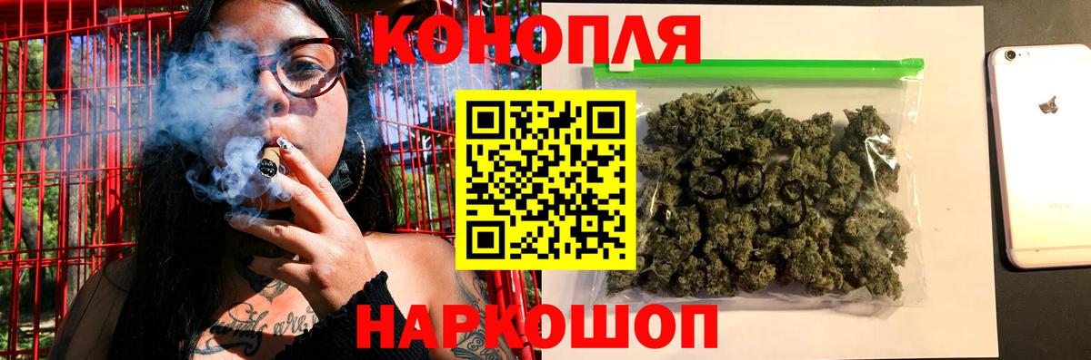 Шишки марихуана сатива  Канабис план  Аргун  Шишки марихуана Amnesia 